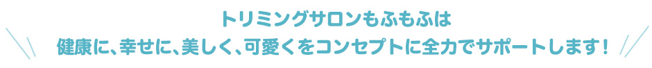 トリミングサロンもふもふは健康に、幸せに、美しく、可愛くをコンセプトに全力でサポートします!