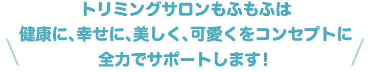 トリミングサロンもふもふは健康に、幸せに、美しく、可愛くをコンセプトに全力でサポートします!